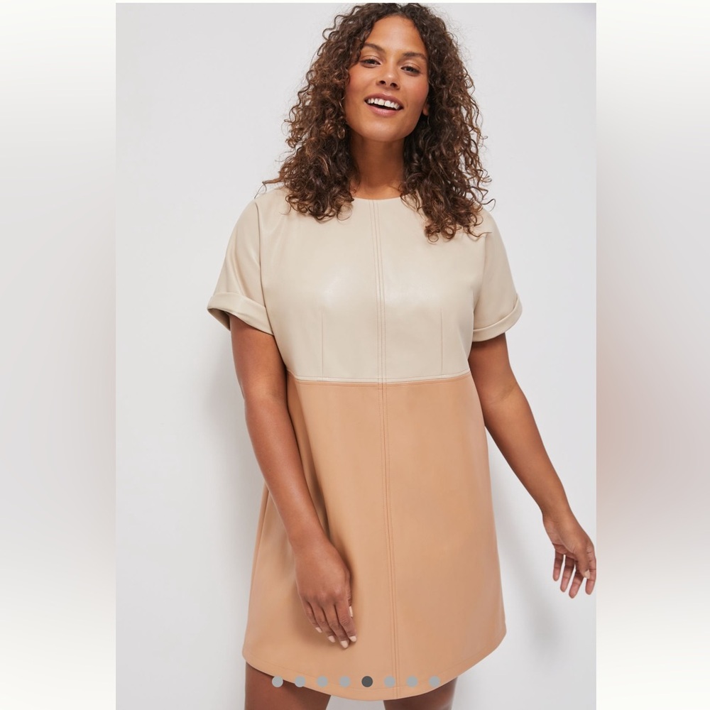 Anthropologie $148 Andrea Faux Leather Mini Dress Size 1x